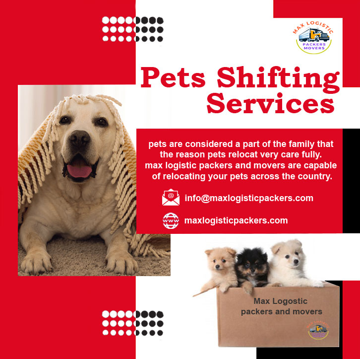 pets Shifting | Max Logistic Packers Movers