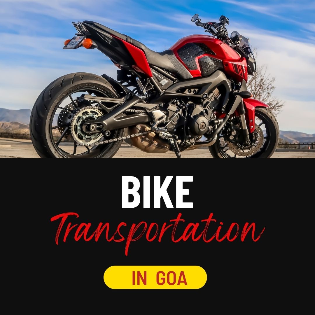 bike carriers in Goa have strict quality standards that are regularly reviewed and adhered to in order to ensure the most efficient 